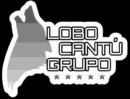 Lobo Cantu Gestoría